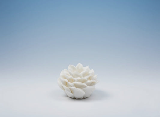 PetalPromise Flower Ring Box — Proposal, Engagement, Wedding Gift